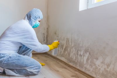 Interior Drying and Mold Prevention