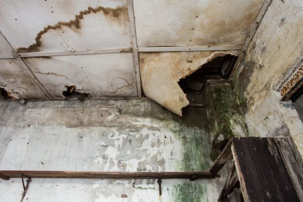 Water Damage Service in Daphne