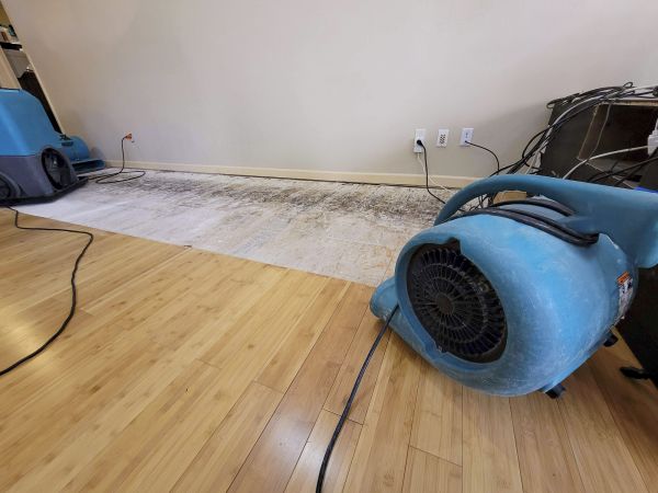 Water Damage Mitigation in Daphne