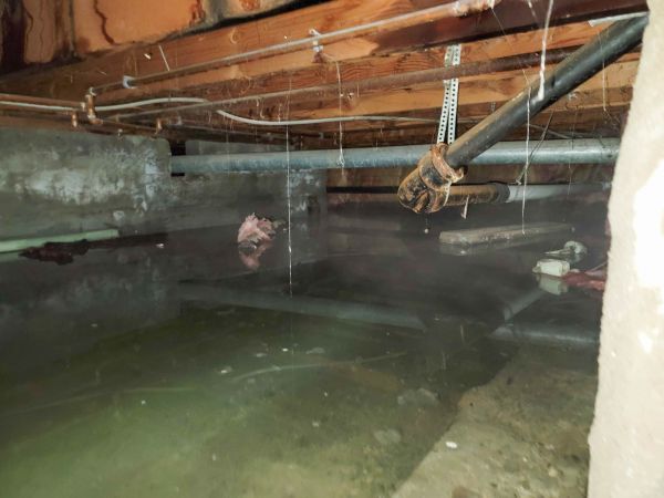 Water Mitigation Service in Daphne